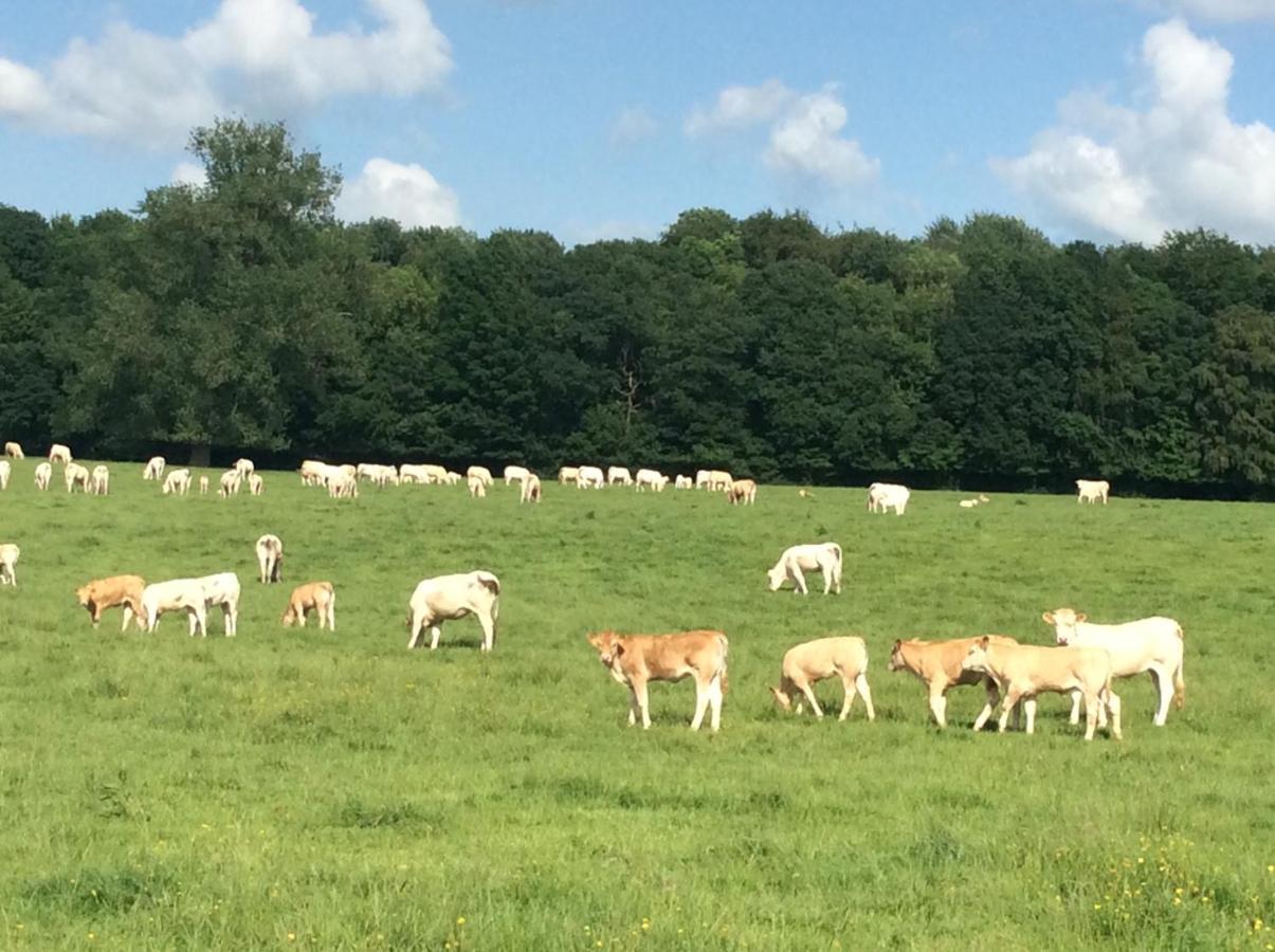 Aux Bois Dores De La Ferme De Sorval, Animaux De La Ferme, Fitness Selvigny Eksteriør billede