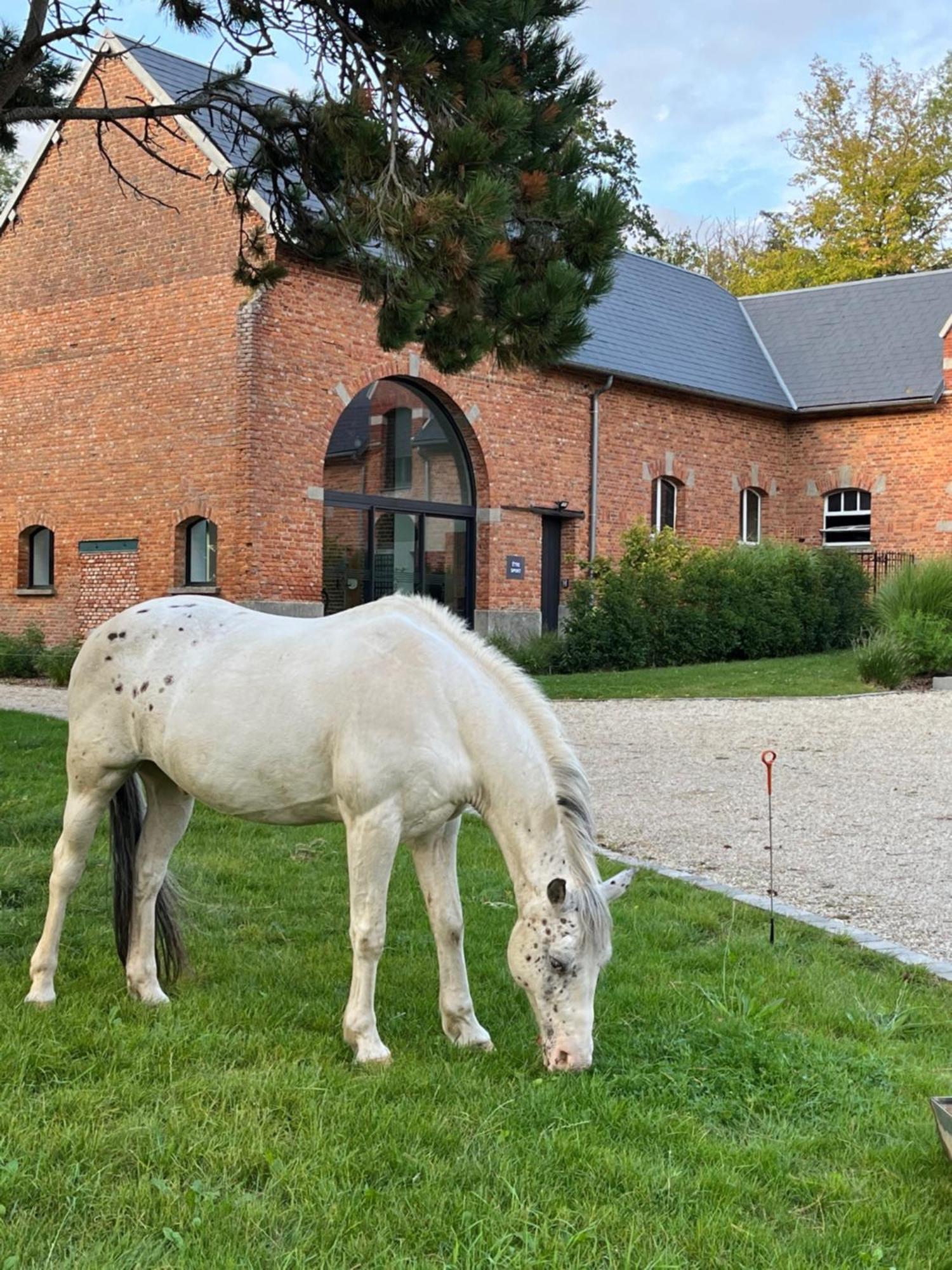 Aux Bois Dores De La Ferme De Sorval, Animaux De La Ferme, Fitness Selvigny Eksteriør billede